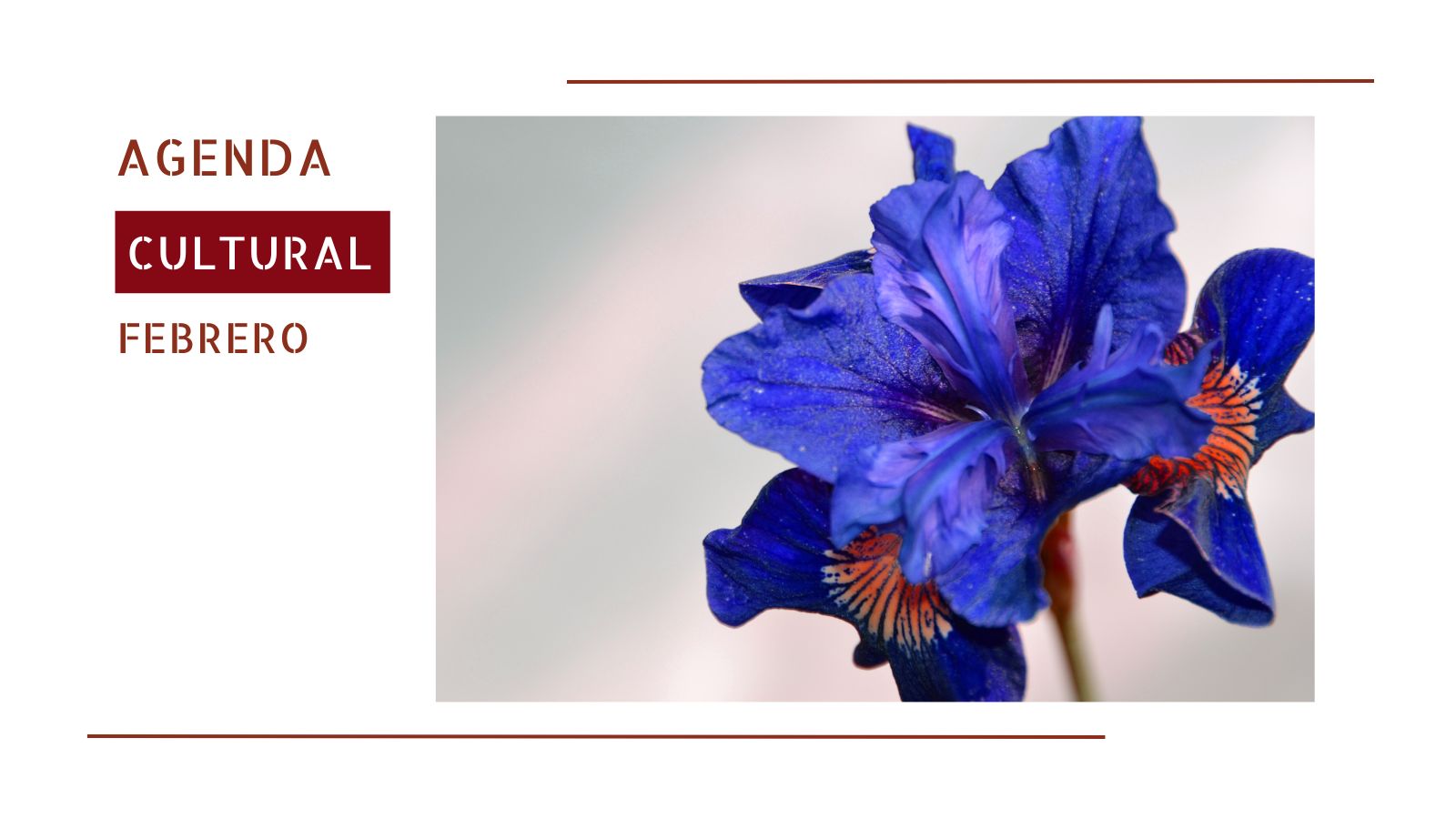 Creatividad de Planes Culturales para febrero